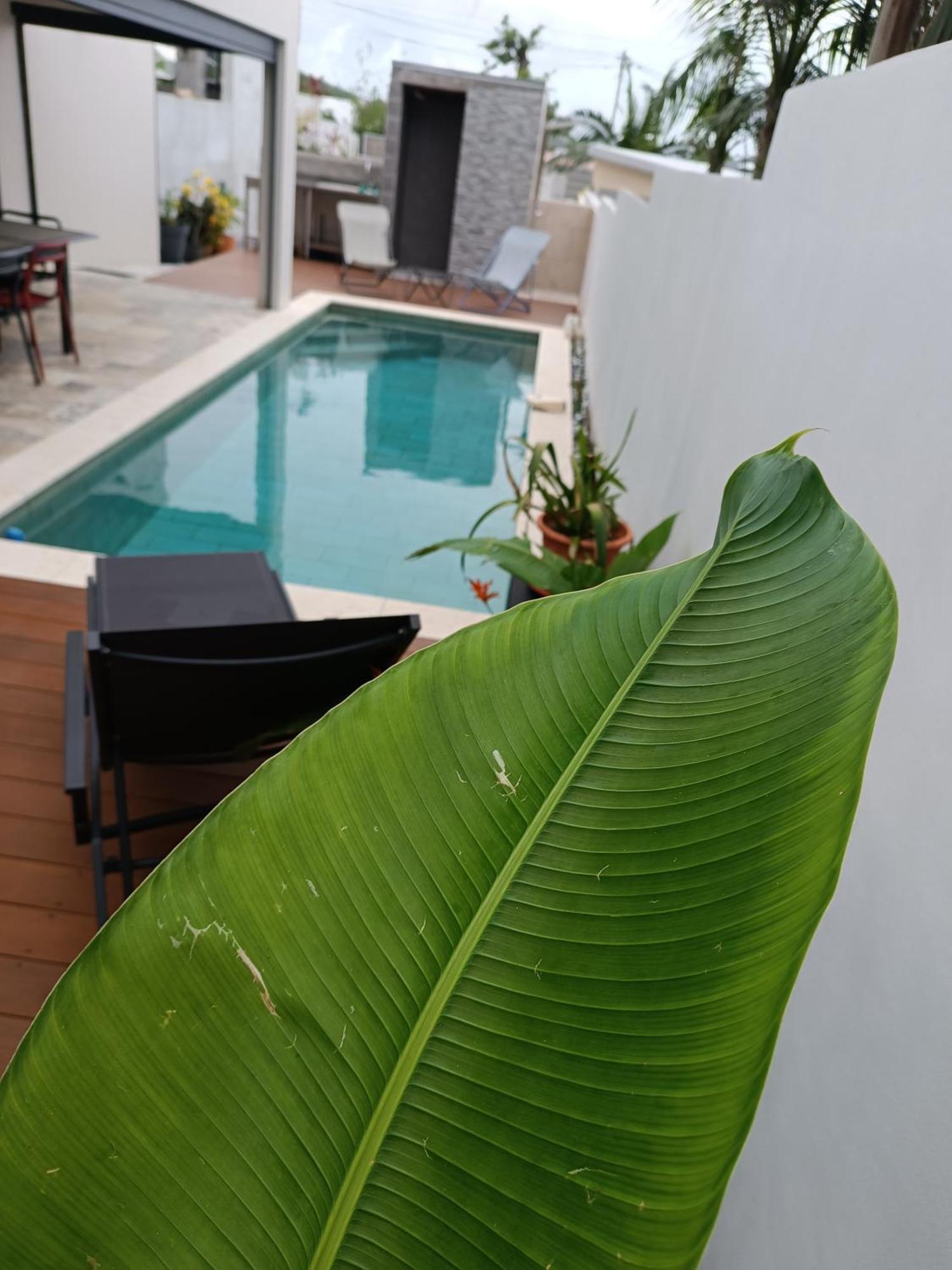 Villa O'Lhaya Piscine Pivee Saint-Joseph Luaran gambar