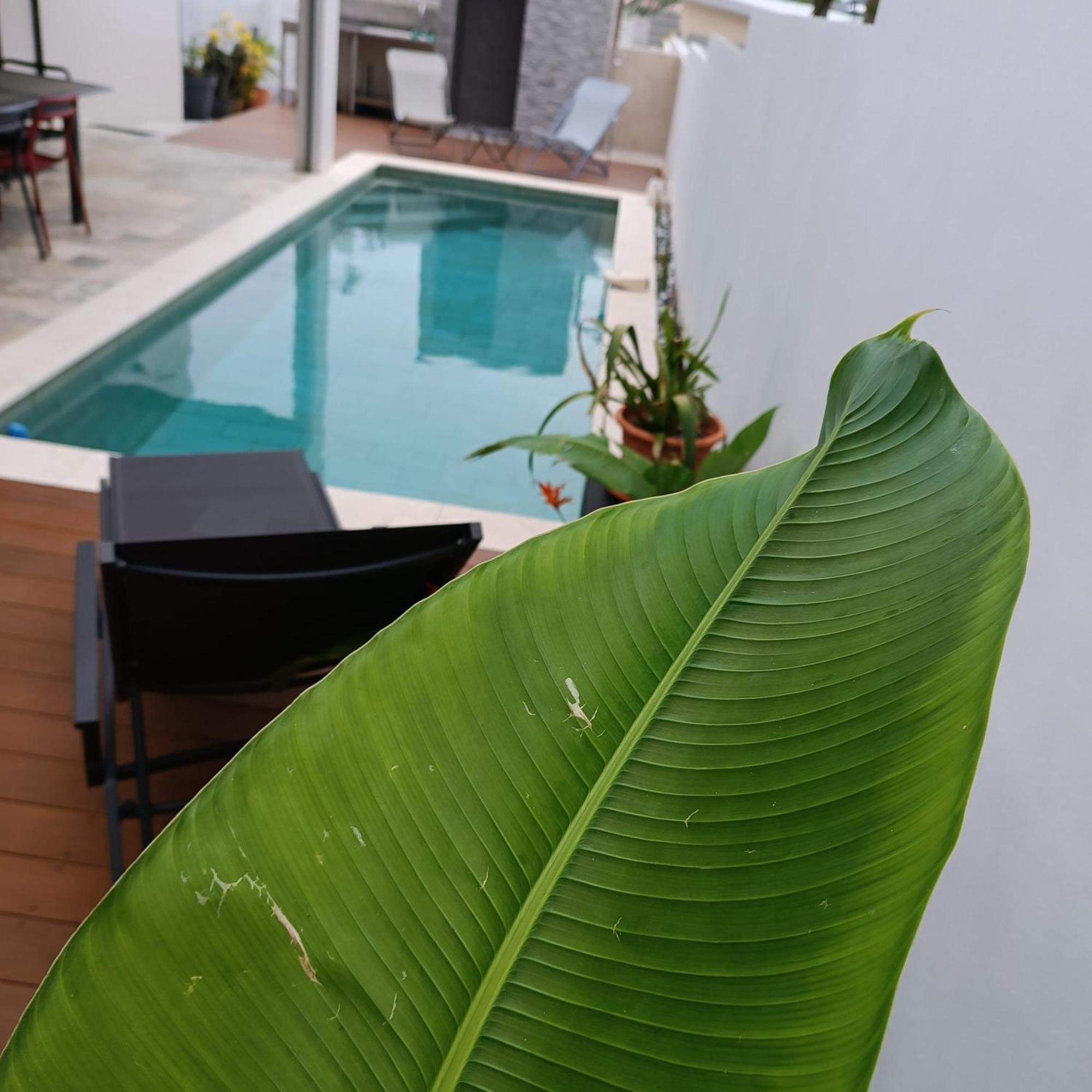 Villa O'Lhaya Piscine Pivee Saint-Joseph Luaran gambar